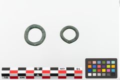 Foto von Bronzering (NHMW-PRAE-023878)